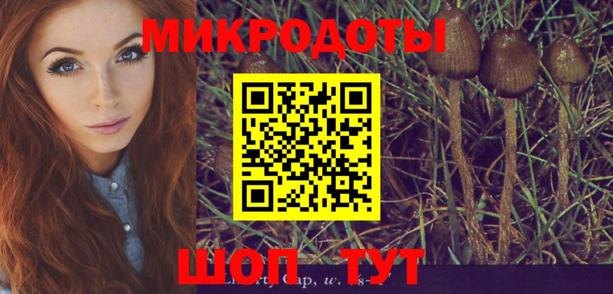 Псилоцибиновые грибы Cubensis Гусь-Хрустальный