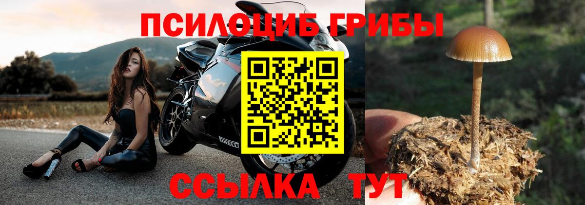 Галлюциногенные грибы мицелий  Вход с VPN  Гусь-Хрустальный 